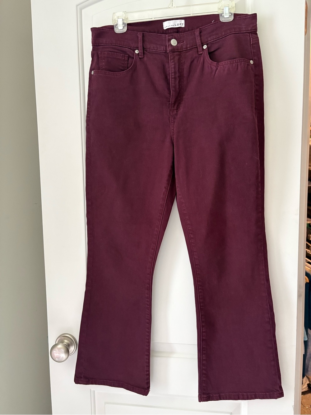 LOFT Wine Flare Jeans